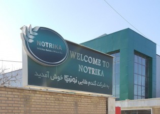 شرکت گندم طلایی نوتریکا شرکت گندم طلایی نوتریکا